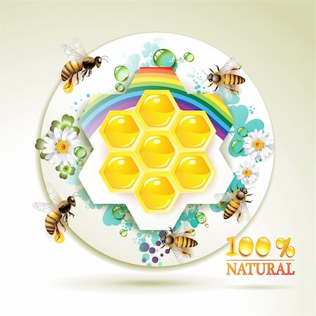 Bees and honeycombs over floral background with rainbow and drops of water Stock Photo - Budget Royalty-Free & Subscription, Code: 400-04391973
