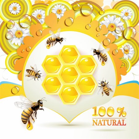 Bees and honeycombs over floral background with drops Stock Photo - Budget Royalty-Free & Subscription, Code: 400-04391981