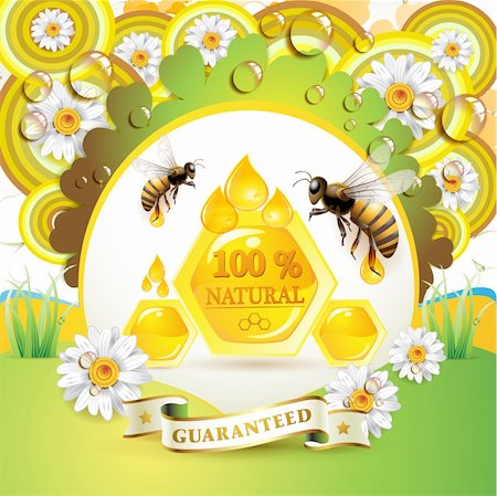 Bees and honeycombs over floral background with drops Stock Photo - Budget Royalty-Free & Subscription, Code: 400-04391982