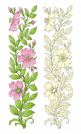 flower border design of rose - Flower Design Elements vector Stock Photo - Budget Royalty-Free & Subscription, Code: 400-04392701