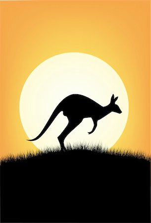 Kangaroo Australia Stock Photo - Budget Royalty-Free & Subscription, Code: 400-04392878