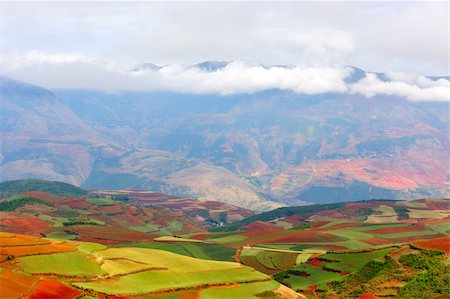 simsearch:633-03194613,k - Red land in Yunnan Province, southwest of China Photographie de stock - Aubaine LD & Abonnement, Code: 400-04393223