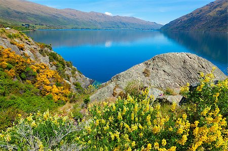 simsearch:400-04390930,k - Image of the wildflowers and mountains surrounding Lake Wakatipu in New Zealand Foto de stock - Royalty-Free Super Valor e Assinatura, Número: 400-04404644