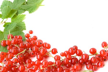 simsearch:400-05678416,k - ripe fresh redcurrant with green leaves making frame isolated on white background Photographie de stock - Aubaine LD & Abonnement, Code: 400-04405148