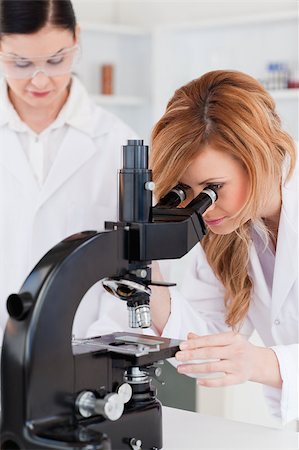 Young scientist looking through a microscope with her assistant in a lab Stock Photo - Budget Royalty-Free & Subscription, Code: 400-04405870