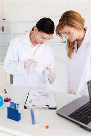 Two scientists observing a test tube in a lab Stock Photo - Budget Royalty-Free & Subscription, Code: 400-04405898