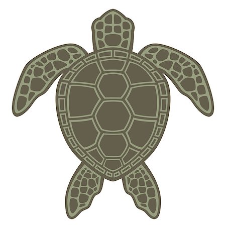Vector graphic illustration of a Green Sea Turtle. Foto de stock - Super Valor sin royalties y Suscripción, Código: 400-04406133