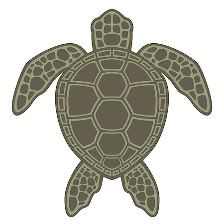 Vector graphic illustration of a Green Sea Turtle. Foto de stock - Royalty-Free Super Valor e Assinatura, Número: 400-04406133