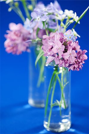 simsearch:400-04406240,k - Beautiful spring flowers in a vase Stock Photo - Budget Royalty-Free & Subscription, Code: 400-04406248