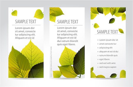 simsearch:400-04221461,k - Fresh natural vertical banners with leafs and sample text Stock Photo - Budget Royalty-Free & Subscription, Code: 400-04406262
