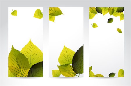 simsearch:400-04221461,k - Fresh natural vertical banners with leafs and place for your content Stock Photo - Budget Royalty-Free & Subscription, Code: 400-04406263