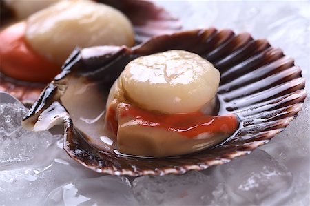 simsearch:400-04406446,k - Raw queen scallops (lat. Aequipecten opercularis) on ice (Selective Focus, Focus the front of the scallop's meat) Stock Photo - Budget Royalty-Free & Subscription, Code: 400-04406444