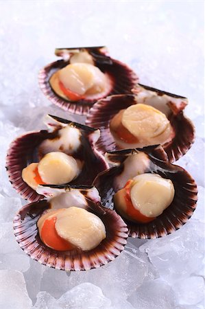 simsearch:400-04406446,k - Raw queen scallops (lat. Aequipecten opercularis) on ice (Selective Focus, Focus the first scallop's meat) Stock Photo - Budget Royalty-Free & Subscription, Code: 400-04406445