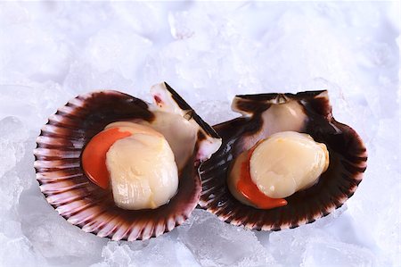 simsearch:400-04406446,k - Raw queen scallops (lat. Aequipecten opercularis) on ice (Selective Focus, Focus the front of the scallop's meat) Stock Photo - Budget Royalty-Free & Subscription, Code: 400-04406447