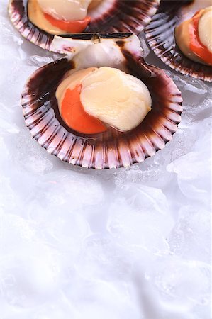 simsearch:400-04406446,k - Raw queen scallops (lat. Aequipecten opercularis) on ice (Selective Focus, Focus the front of the scallop's meat) Stock Photo - Budget Royalty-Free & Subscription, Code: 400-04406448