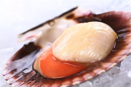 simsearch:400-04406446,k - Raw queen scallop (lat. Aequipecten opercularis) on ice (Selective Focus, Focus the front of the scallop's meat) Stock Photo - Budget Royalty-Free & Subscription, Code: 400-04406449