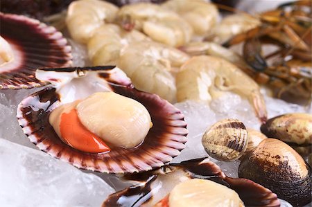 simsearch:400-04406446,k - Raw queen scallops (lat. Aequipecten opercularis) and other seafood such as mussels and prawns on ice (Selective Focus, Focus the front of the scallop's meat) Stock Photo - Budget Royalty-Free & Subscription, Code: 400-04406441