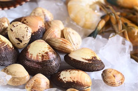 simsearch:400-04406446,k - Raw mussels and other seafood such as shrimps and prawns on ice (Selective Focus, Focus on the big mussel in the left bottom corner) Stock Photo - Budget Royalty-Free & Subscription, Code: 400-04406443