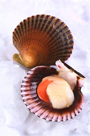 simsearch:400-04406446,k - Raw queen scallop (lat. Aequipecten opercularis) with a colorful scallop shell on ice (Selective Focus, Focus the front of the scallop's meat) Stock Photo - Budget Royalty-Free & Subscription, Code: 400-04406450