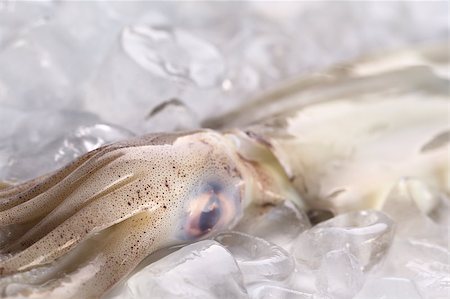 simsearch:400-04406446,k - Raw fresh squid on ice (Selective Focus, Focus on the top of the head where the tentacles start) Stock Photo - Budget Royalty-Free & Subscription, Code: 400-04406465