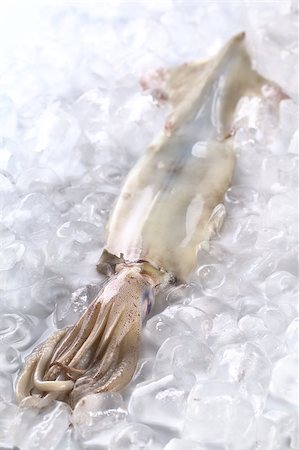 simsearch:400-04406446,k - Raw fresh squid on ice (Selective Focus, Focus on the top of the head where the tentacles start) Stock Photo - Budget Royalty-Free & Subscription, Code: 400-04406466