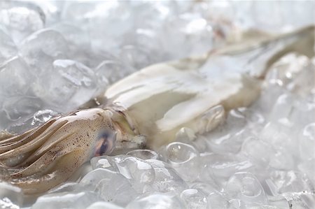 simsearch:400-04406446,k - Raw fresh squid on ice (Selective Focus, Focus on the top of the head where the tentacles start) Stock Photo - Budget Royalty-Free & Subscription, Code: 400-04406467