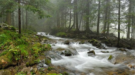 pictures scenery waterfalls hills - mountain river in Carpathian forest Stock Photo - Budget Royalty-Free & Subscription, Code: 400-04406643