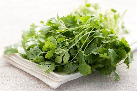 Bunch of fresh coriander on white background Stock Photo - Budget Royalty-Free & Subscription, Code: 400-04406680