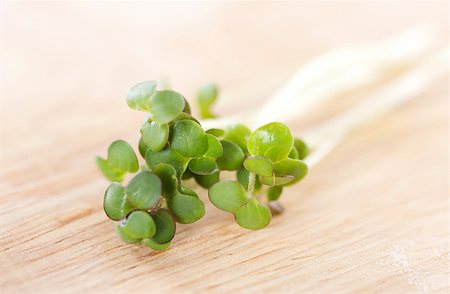 Fresh mustard sprouts on a wooden background Stock Photo - Budget Royalty-Free & Subscription, Code: 400-04406702