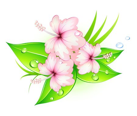 Vector illustration of funky summer hibiscus flowers Stock Photo - Budget Royalty-Free & Subscription, Code: 400-04406876