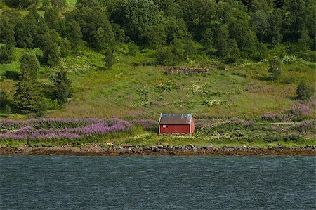 photohomepage (artist) - On the shore in Norway Photographie de stock - Aubaine LD & Abonnement, Code: 400-04407175