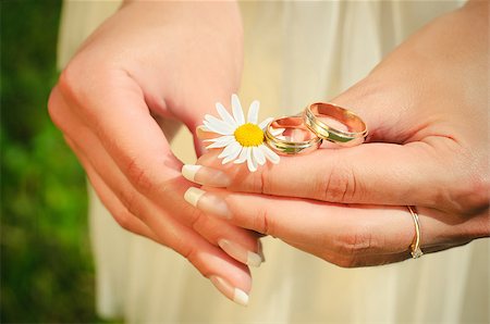 Rings of newly-married couple on hands of bride Stock Photo - Budget Royalty-Free & Subscription, Code: 400-04407548