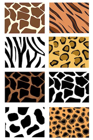 illustration of animal skin textures, background patterns Stock Photo - Budget Royalty-Free & Subscription, Code: 400-04408095