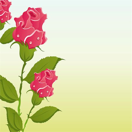 simsearch:400-04338125,k - beautiful roses background Stock Photo - Budget Royalty-Free & Subscription, Code: 400-04408207