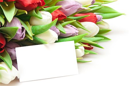 simsearch:400-05104344,k - bouquet of tulips isolated on white Foto de stock - Super Valor sin royalties y Suscripción, Código: 400-04408251