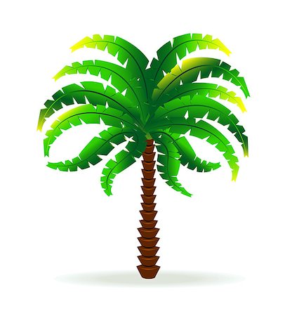 palm tree trunk - Image of a palm tree on a white background. Stock Photo - Budget Royalty-Free & Subscription, Code: 400-04408901