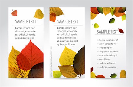 simsearch:400-04221461,k - Fresh natural fall vertical banners with leafs and sample text Stock Photo - Budget Royalty-Free & Subscription, Code: 400-04409741