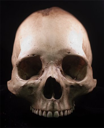 simsearch:400-05386023,k - Human skull - bone head dead teeth spooky scary pirate isolated evil Stock Photo - Budget Royalty-Free & Subscription, Code: 400-04401165