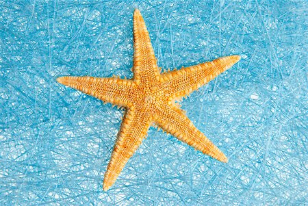 simsearch:400-05077592,k - Sea star on blue straw mesh  background. Foto de stock - Royalty-Free Super Valor e Assinatura, Número: 400-04401250