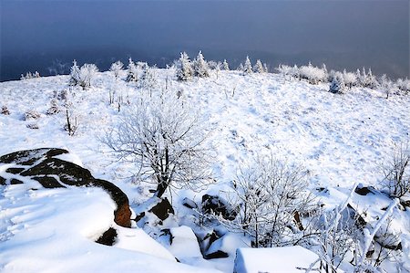 simsearch:400-04765849,k - Snowy winter landscape with views of the misty valley Foto de stock - Royalty-Free Super Valor e Assinatura, Número: 400-04402535