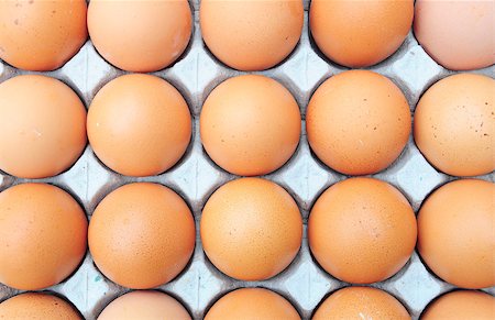 simsearch:400-04313912,k - fresh organic brown eggs Stockbilder - Microstock & Abonnement, Bildnummer: 400-04403021
