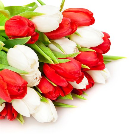 simsearch:400-04340566,k - beautiful bouquet of  tulips on white Stockbilder - Microstock & Abonnement, Bildnummer: 400-04403496