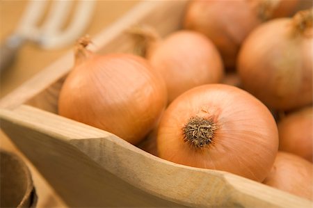 Onions In Wooden Trug Stock Photo - Budget Royalty-Free & Subscription, Code: 400-04403925