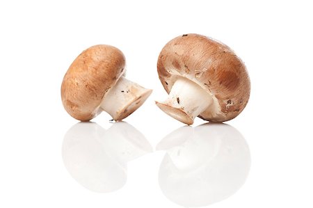 simsearch:400-05305223,k - A fresh brown mushroom against a white background Foto de stock - Super Valor sin royalties y Suscripción, Código: 400-04414119