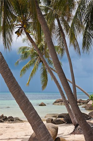 simsearch:841-06807146,k - Beautiful beach in thailand. Ko phi phi island. Photographie de stock - Aubaine LD & Abonnement, Code: 400-04414439