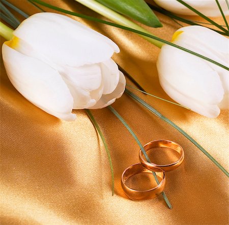 Two wedding rings and flowers tulips lie on bed silk Fotografie stock - Microstock e Abbonamento, Codice: 400-04415464