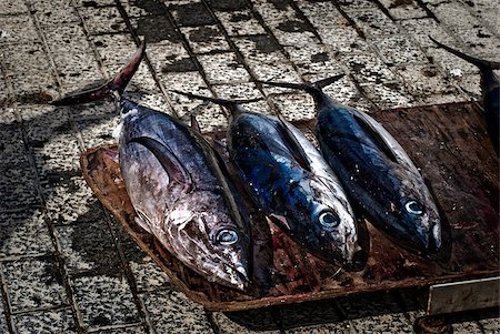 fresh blue fish - Fresh tuna fishes on harbour in Port d Andratx on Mallorca, Spain. Stock Photo - Budget Royalty-Free & Subscription, Code: 400-04415635