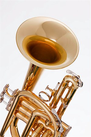 symphony art - A gold brass cornet or trumpet isolated against a white background Stock Photo - Budget Royalty-Free & Subscription, Code: 400-04415698