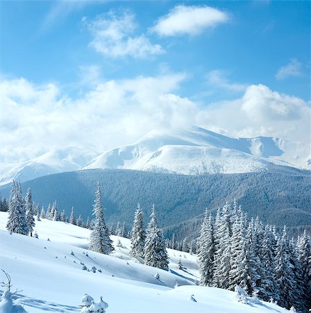simsearch:400-04639977,k - Winter rime and snow covered landscape with Goverla Mount view (Carpathian Mountains, Ukraine). Two shots stitch image. Photographie de stock - Aubaine LD & Abonnement, Code: 400-04416186