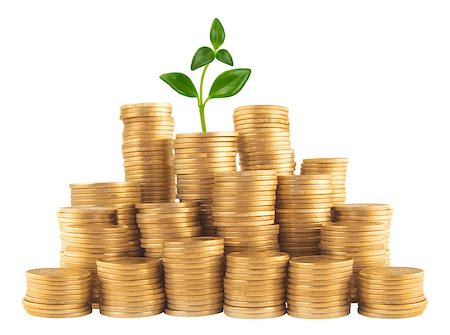 simsearch:400-07574972,k - golden coins and green plant isolated on white background Stock Photo - Budget Royalty-Free & Subscription, Code: 400-04416552